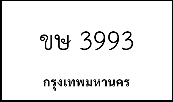 ขษ 3993
