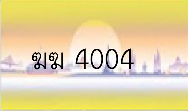 ฆฆ 4004
