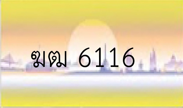 ฆฒ 6116
