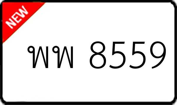พพ 8559
